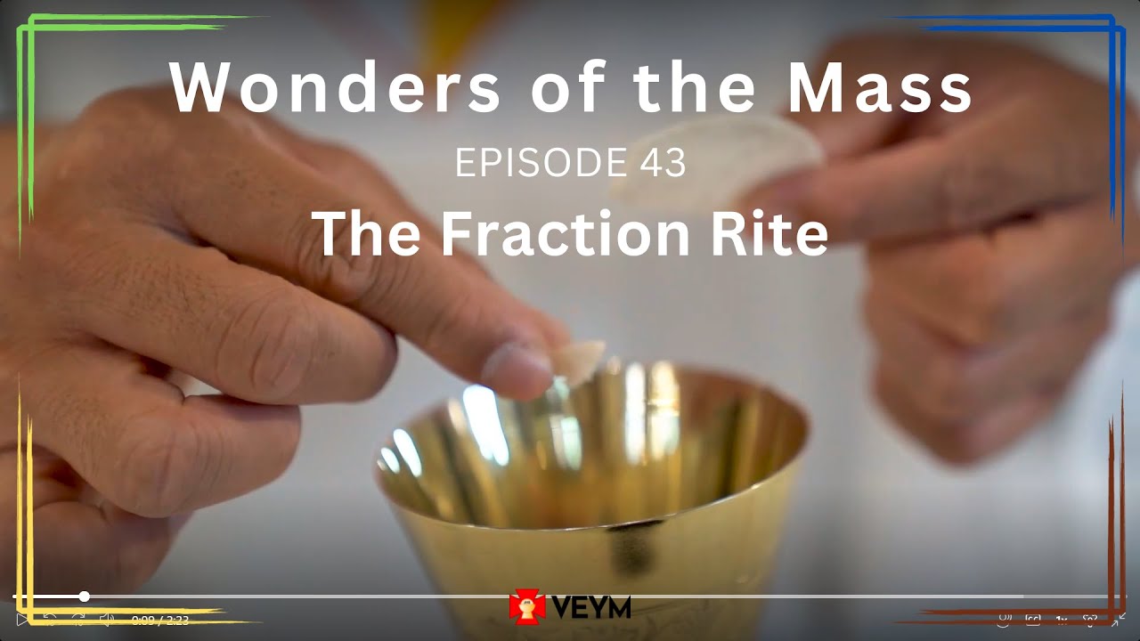 Wonders of the Mass (Episode 43): The Fraction Rite