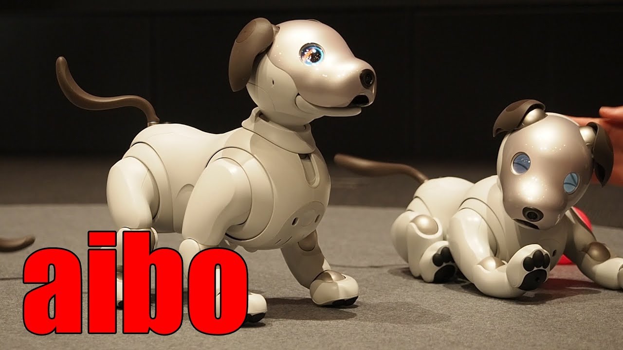 狂おしいほどかわいい「aibo（アイボ）」がきゅんきゅん鳴く動画