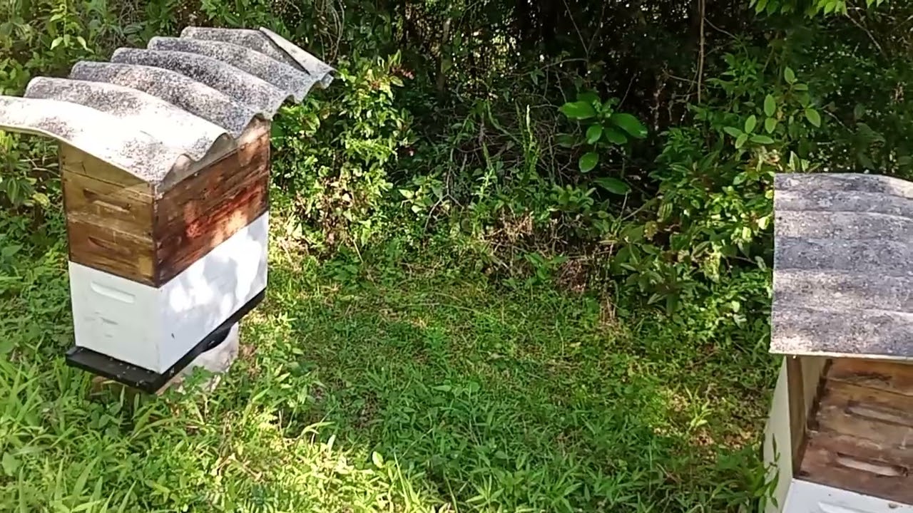 Apiário top da galáxia,  colocando mais melgueiras 