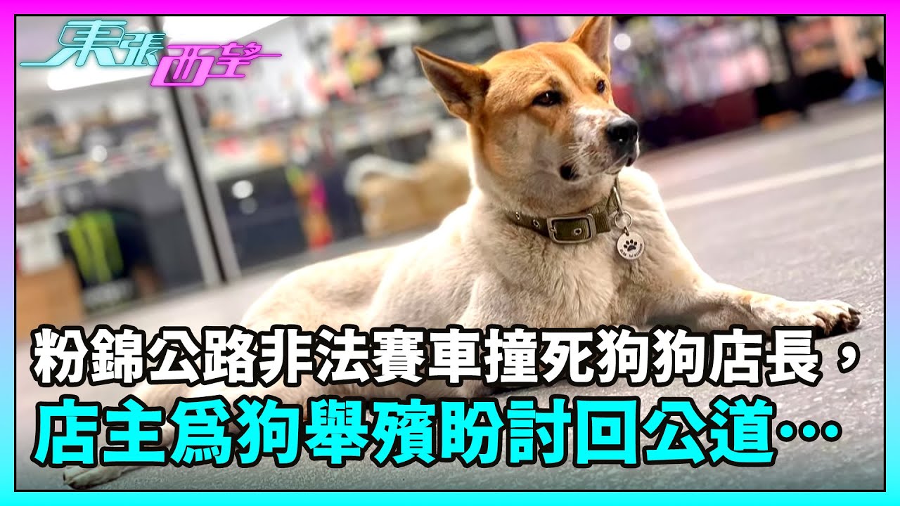 東張西望｜粉錦公路非法賽車撞死狗狗店長，店主為狗狗舉殯盼能討回公道⋯⋯｜TVBUSA｜民生