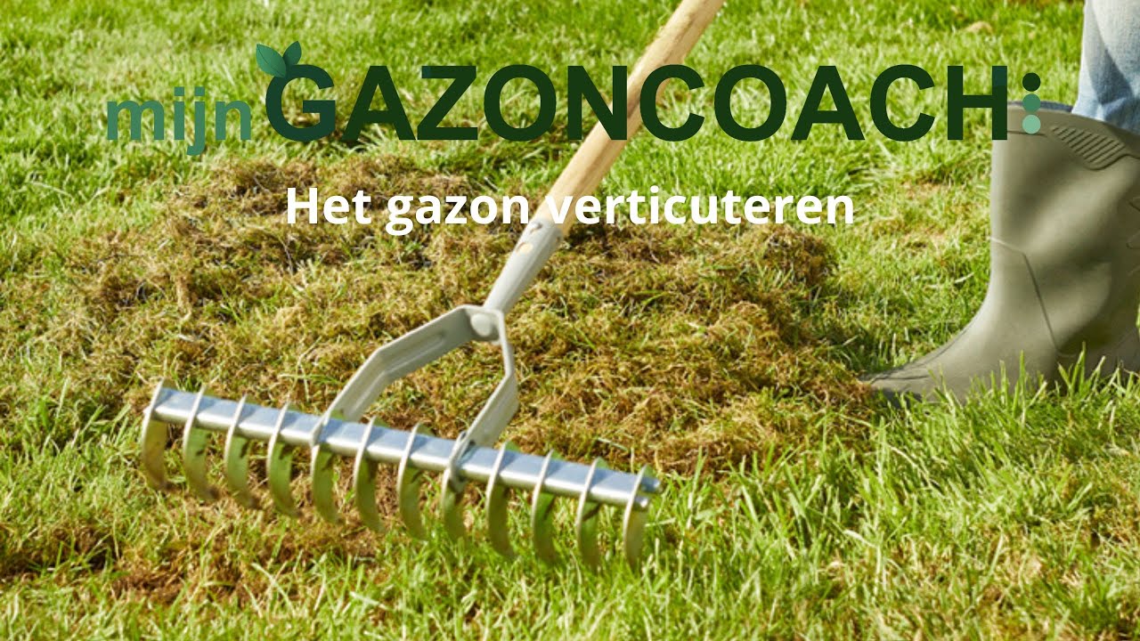 𝐕𝐞𝐫𝐭𝐢𝐜𝐮𝐭𝐞𝐫𝐞𝐧 𝐠𝐚𝐳𝐨𝐧 - Wanneer en waarom verticuteren en hoe  | MijnGazonCoach