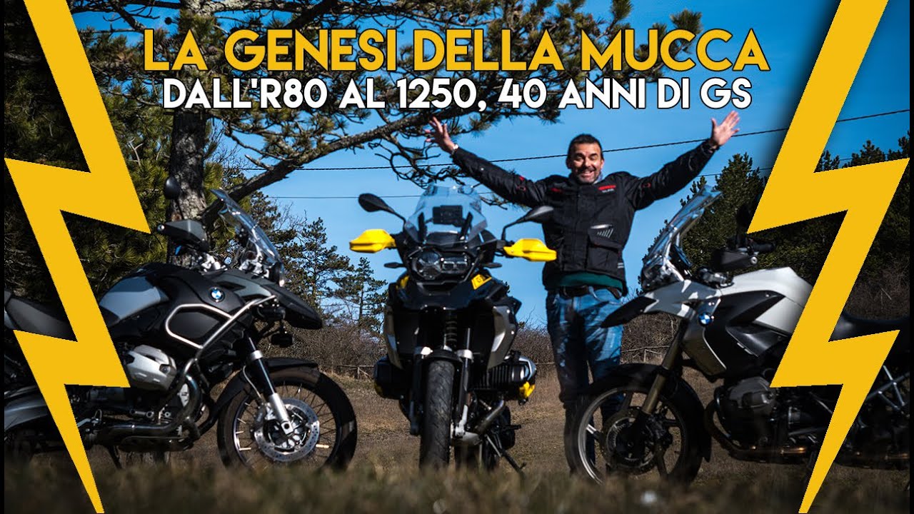 LA GENESI DELLA MUCCA 🐄 dall'R80 al 1250, 40 anni di GS