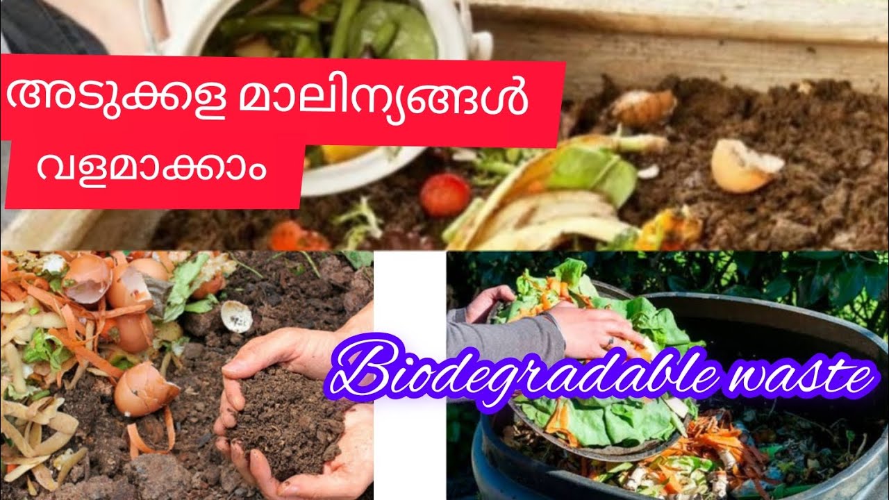 #അടുക്കള മാലിന്യങ്ങൾ എങ്ങനെ വളമാക്കാം #How to manage kitchen waste#agriculture #environment #