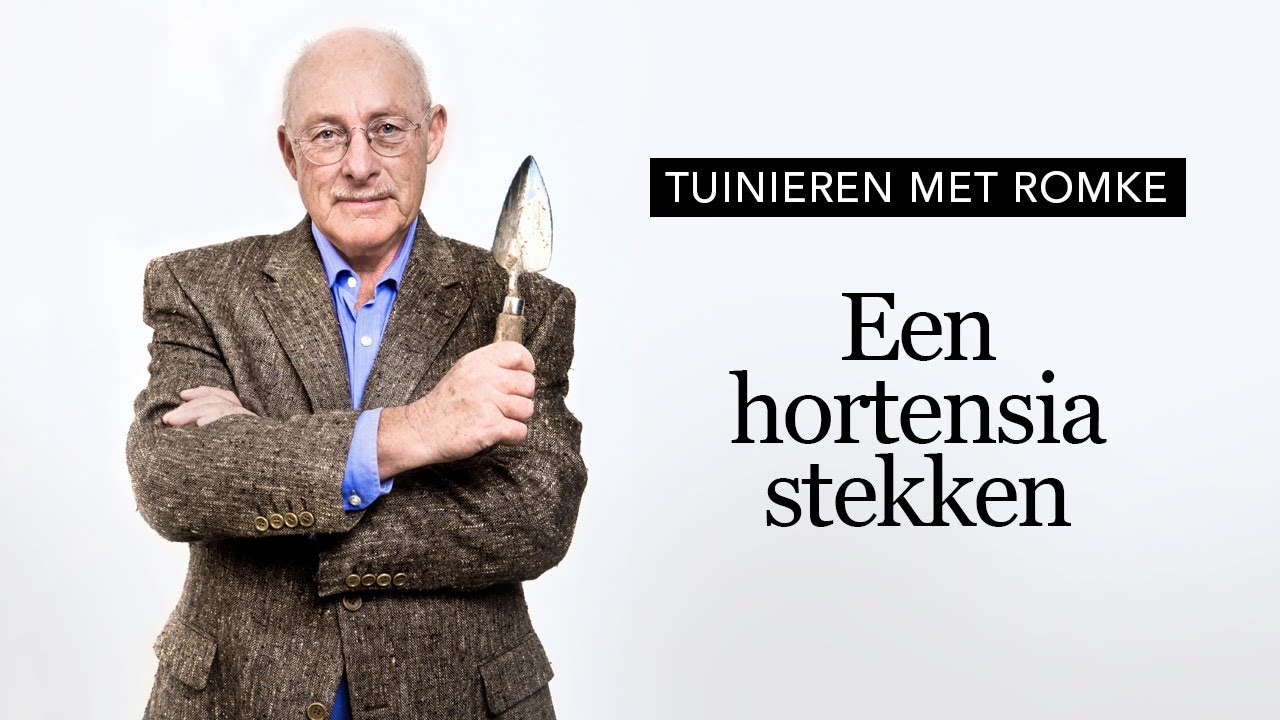 Tuinieren met Romke - Hortensia stekken