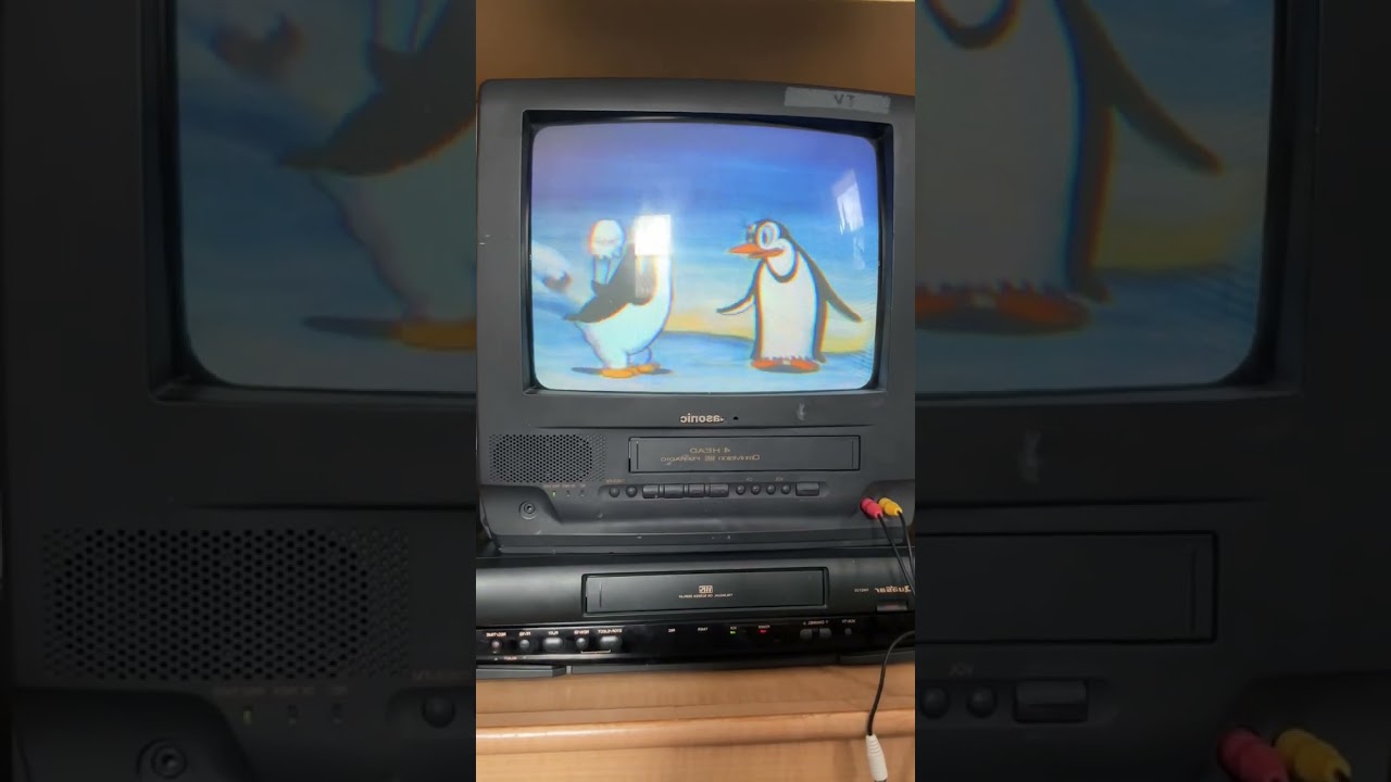 Starring Silly Symphonies Animals Two By Two VHS 1987 Sped Up Mirrored