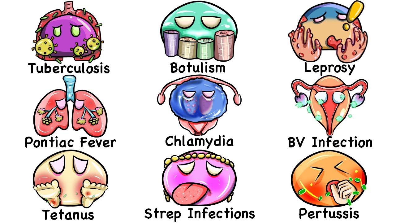 Every DEADLIEST Infection Explained in 12 Minutes