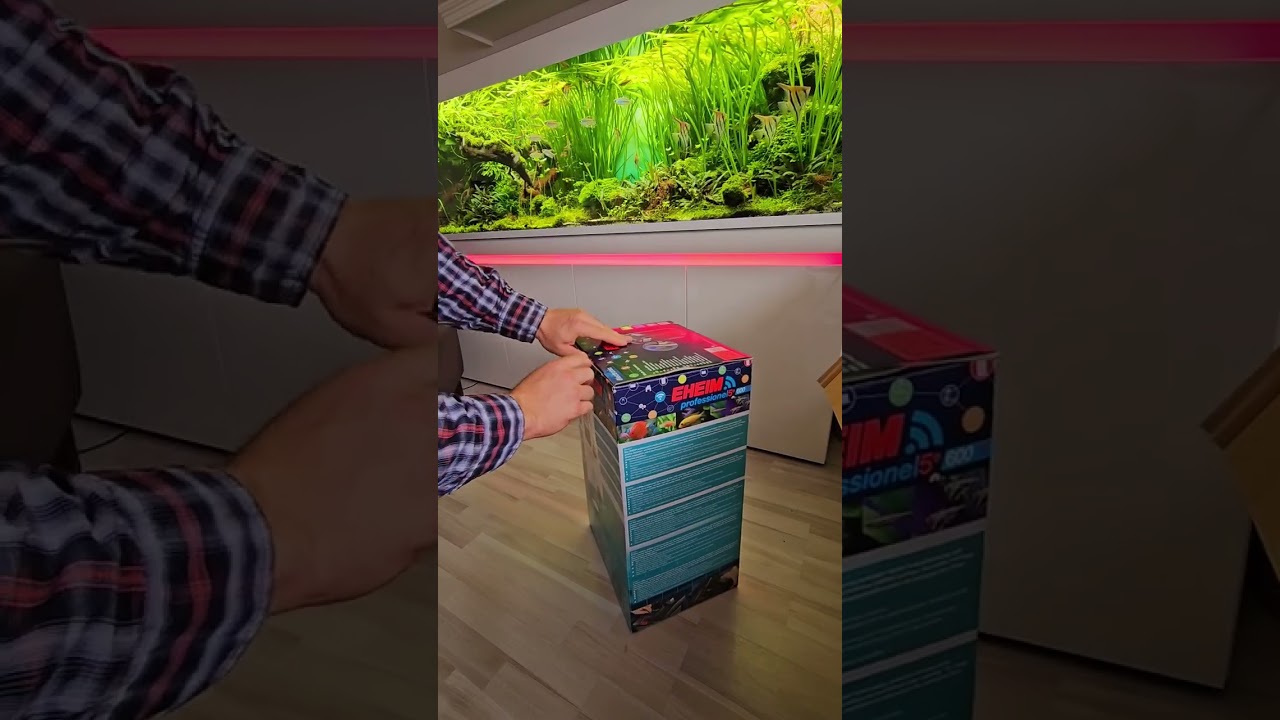 Eheim hat mir neues Spielzeug zukommen lassen 😲