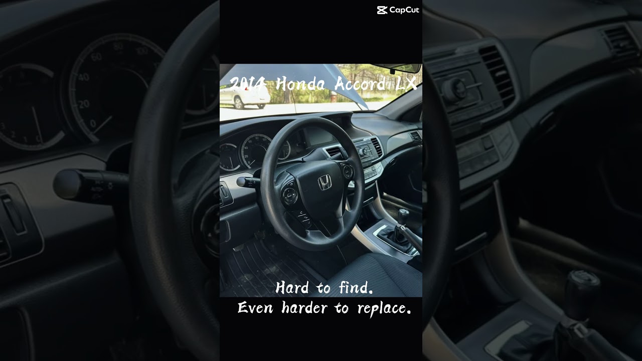 Honda Accord for Real Drivers Only 