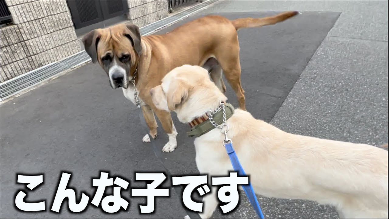 新入生ラブの様子