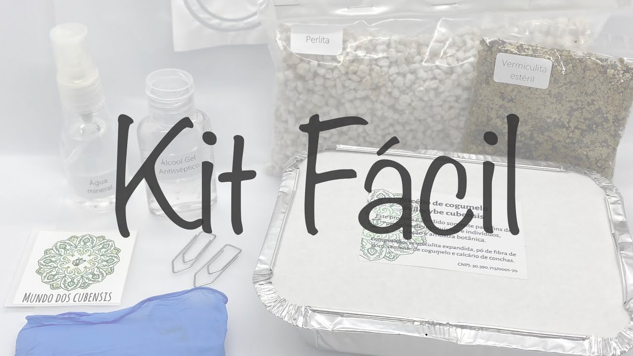Como Cultivar Cogumelos com o Kit F&Aacute;CIL &ndash; Passo a Passo para Iniciantes