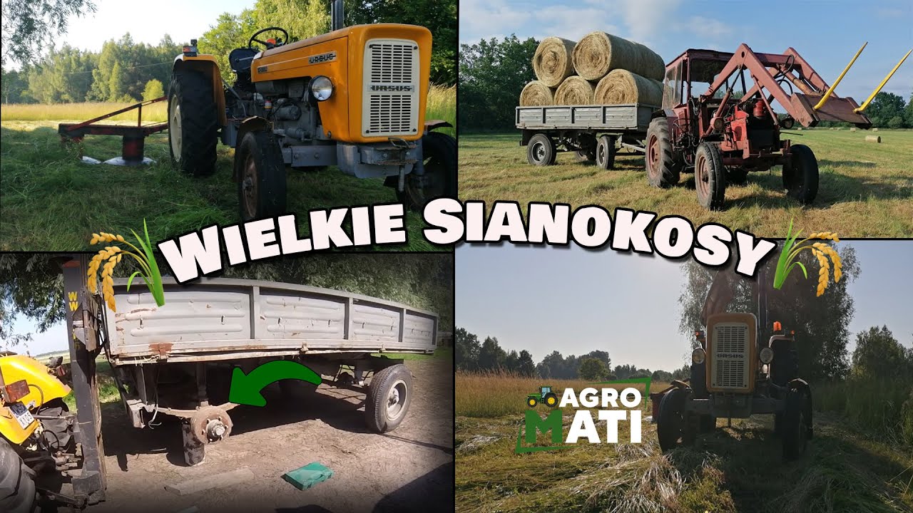 ☘Wielkie Sianokosy☘ Koszenie| Zgrabianie| Prasowanie| Zbieranie🌿