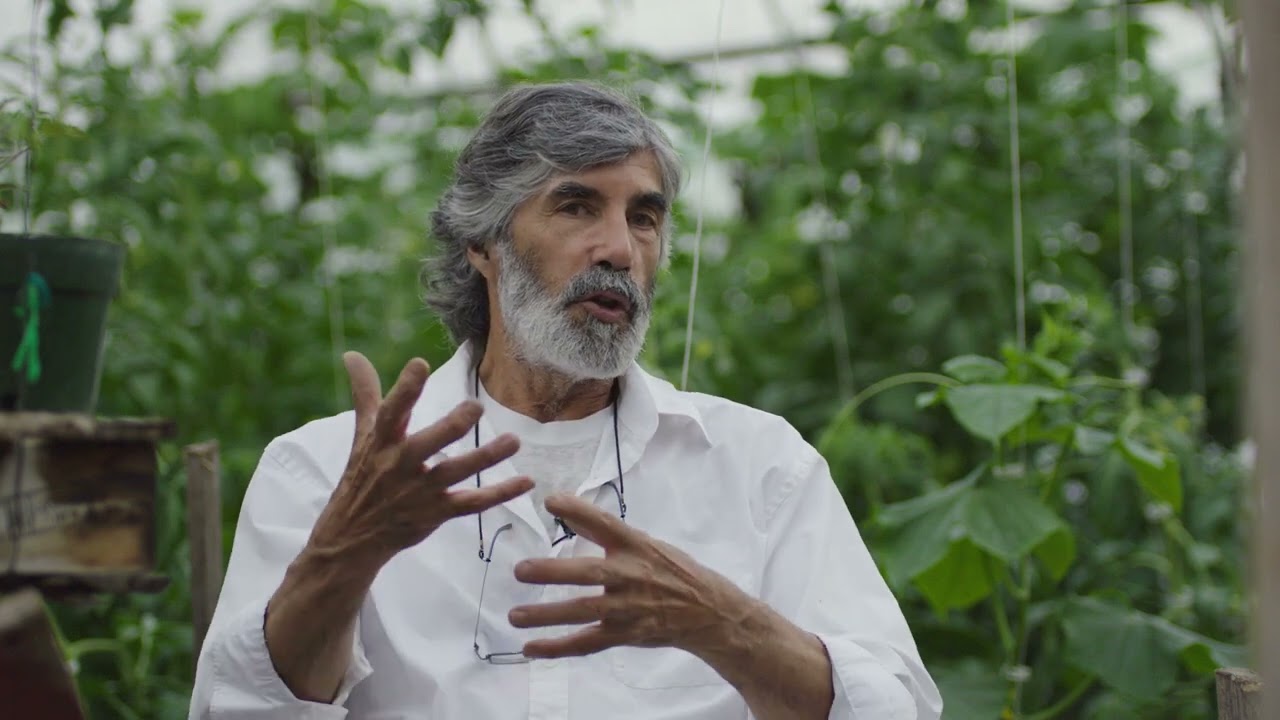 yves Castera 3   Sélection génétique des abeilles résistantes au varroa