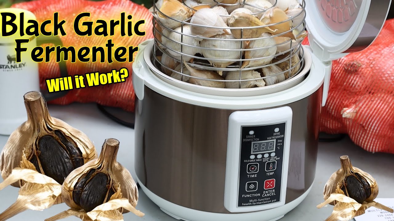 Black Garlic Fermenter / Will it Work? / 9 Day Challenge / 6L Garlic Fermenter