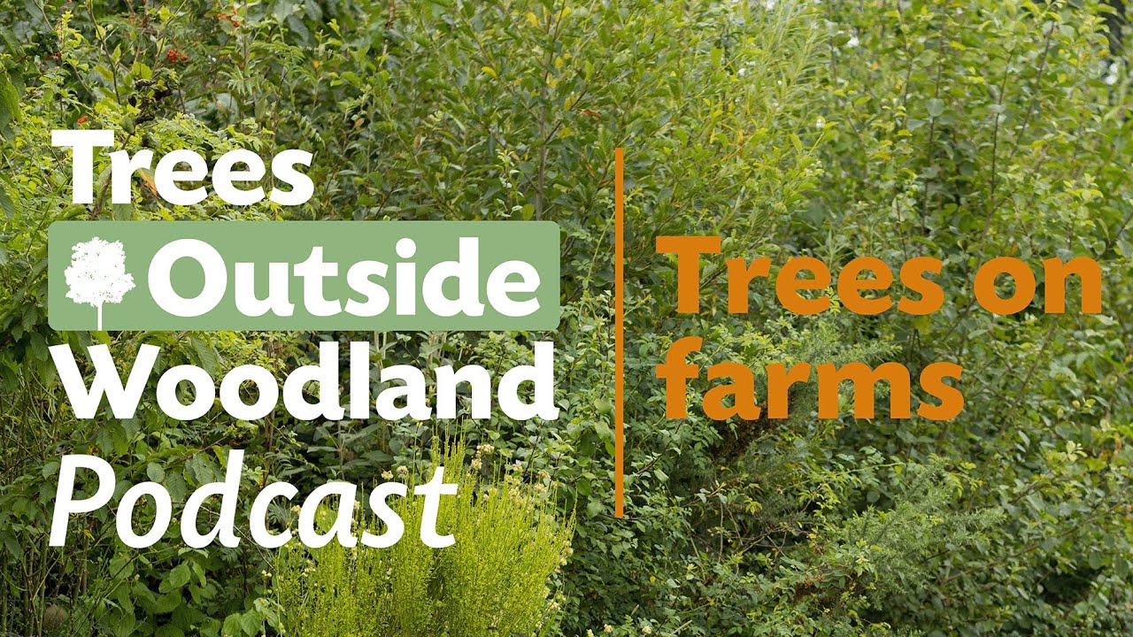 Trees Outside Woodland Podcast - Trees on Farms