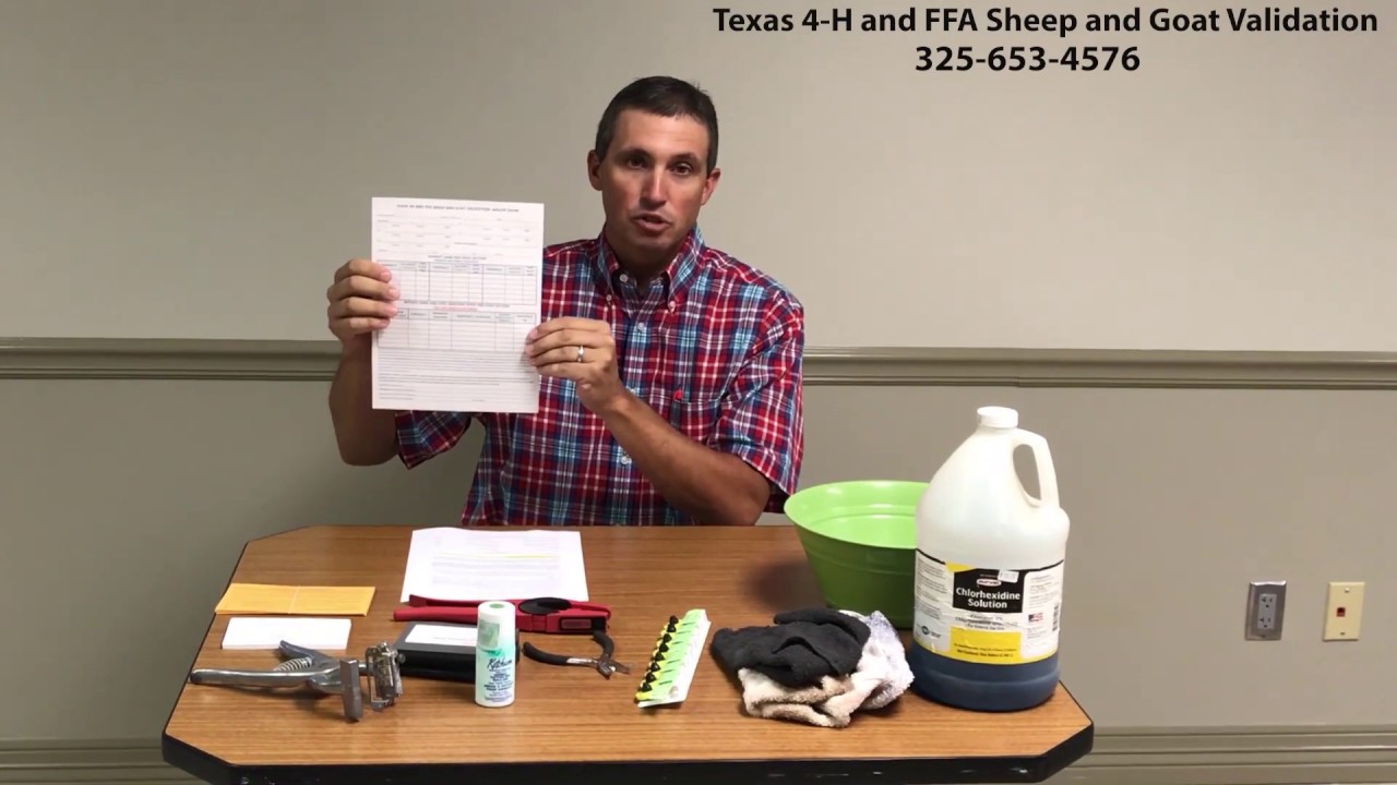 2019 4-H and FFA Sheep and Goat Validation