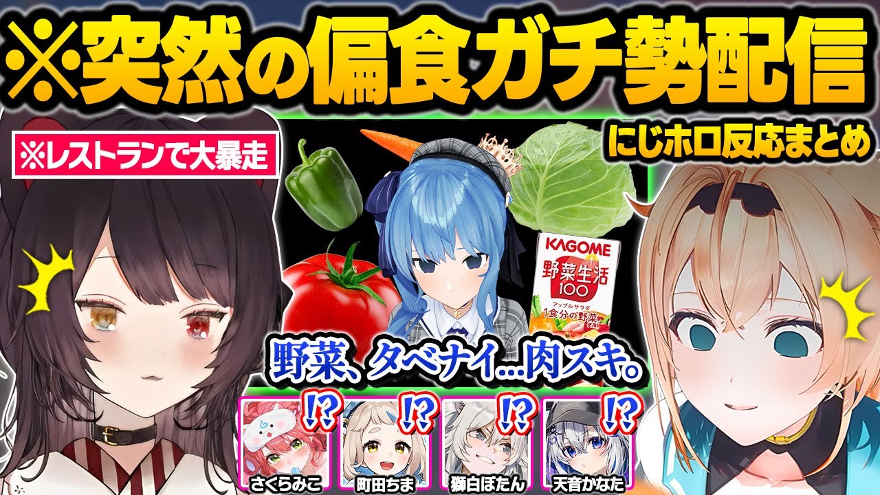 焼肉と明太子に憑りつかれてしまった結果...野菜NG爆発でお隣さんやお店で大暴走してしまうすいちゃんｗ面白反応まとめ【星街すいせい/戌亥とこ/風真いろは/さくらみこ/ホロライブ/にじさんじ/切り抜き】