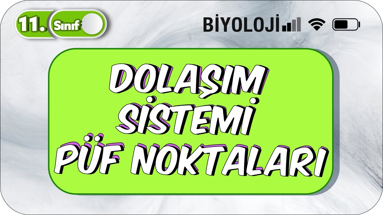 11. Sınıf Biyoloji Dolaşım Sistemi PÜF NOKTALARIYLA TEKRAR 🔂