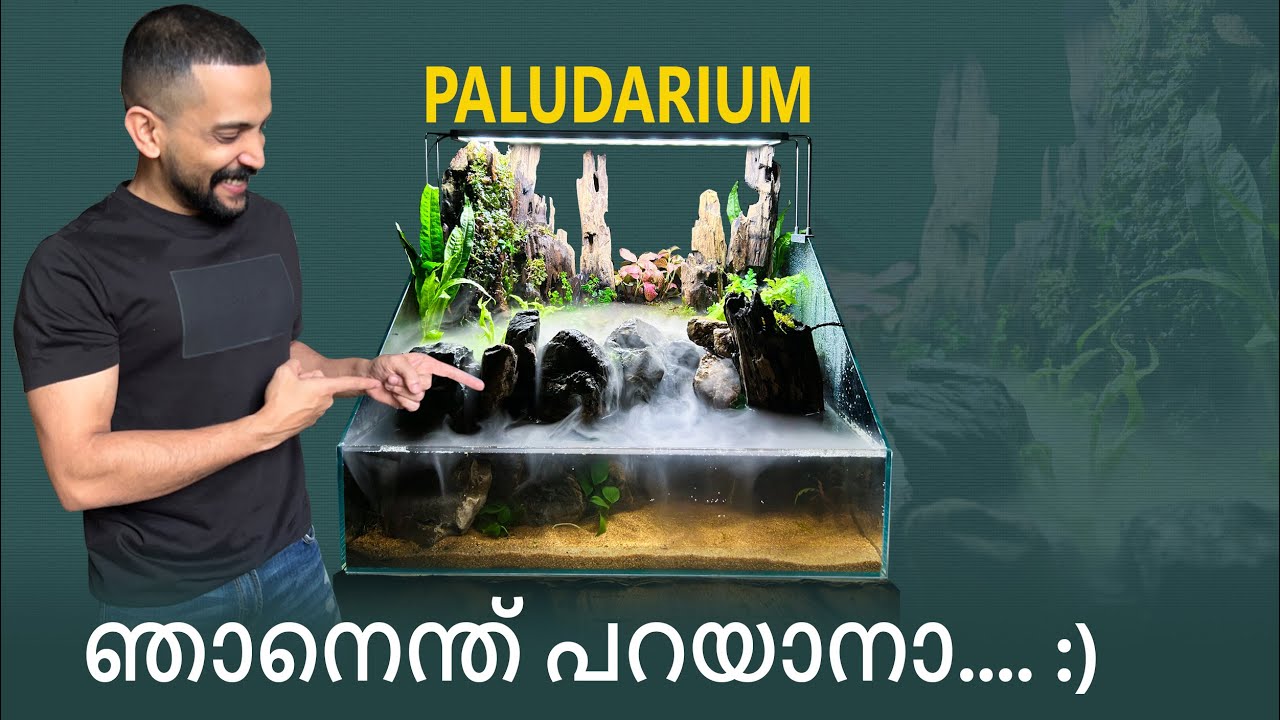 PALUDARIUM 3 | മണിക്കൂറുകൾ എടുത്ത് ചെയ്തതാ | ഇതൊക്കെയാണ് നമ്മടെ ഒരു സന്തോഷം :)