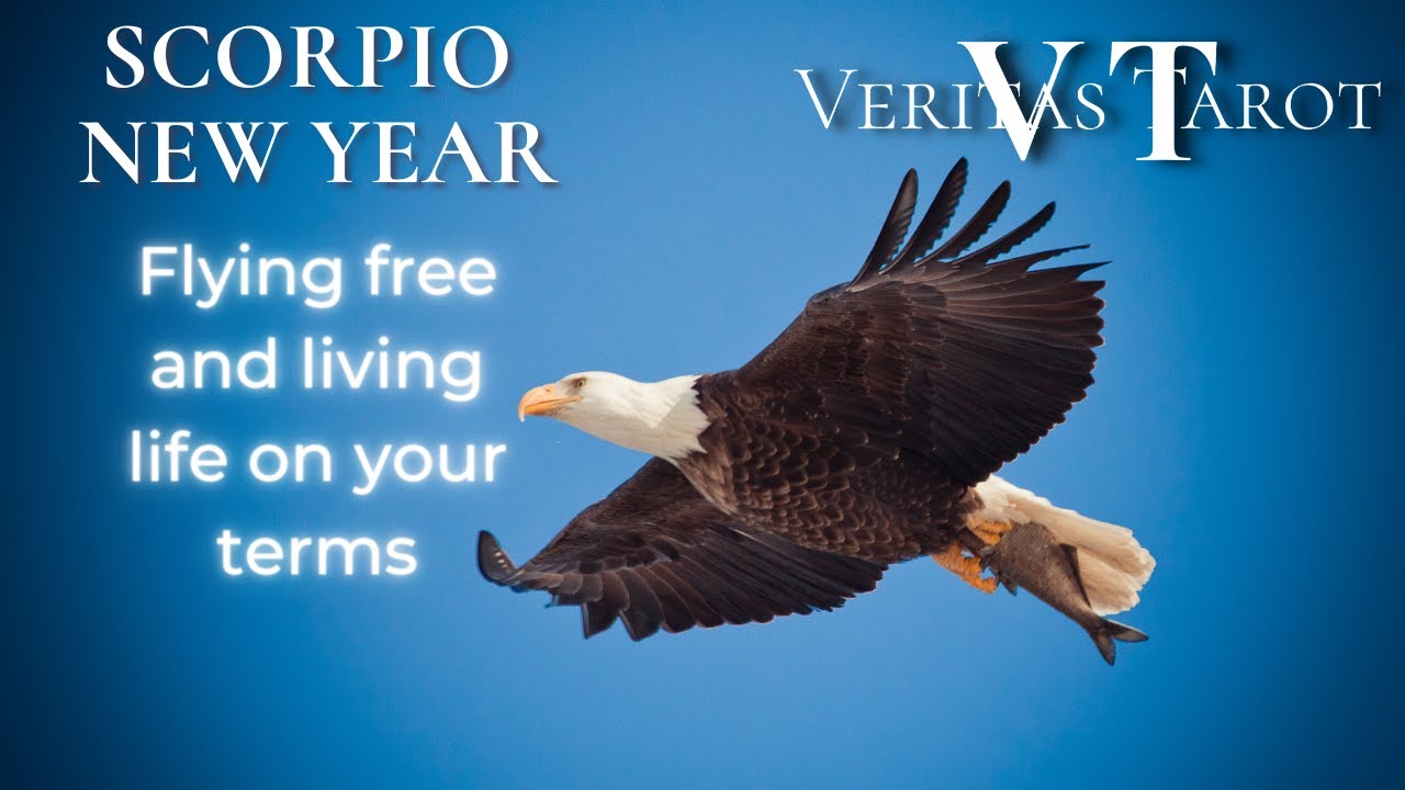 SCORPIO NEW YEAR TAROT READING Flying free & living life on your terms #oracle #2023 #scorpiotarot
