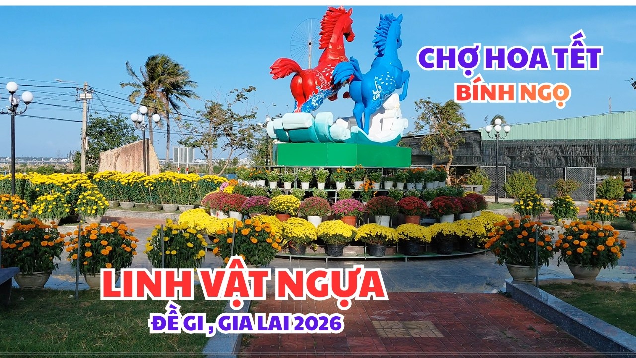 LINH VẬT NGỰA TUYỆT ĐẸP 2026  - RỘN RÀNG CHỢ HOA XUÂN ĐỀ GI, GIA LAI. #tranvanchanh #tet2026