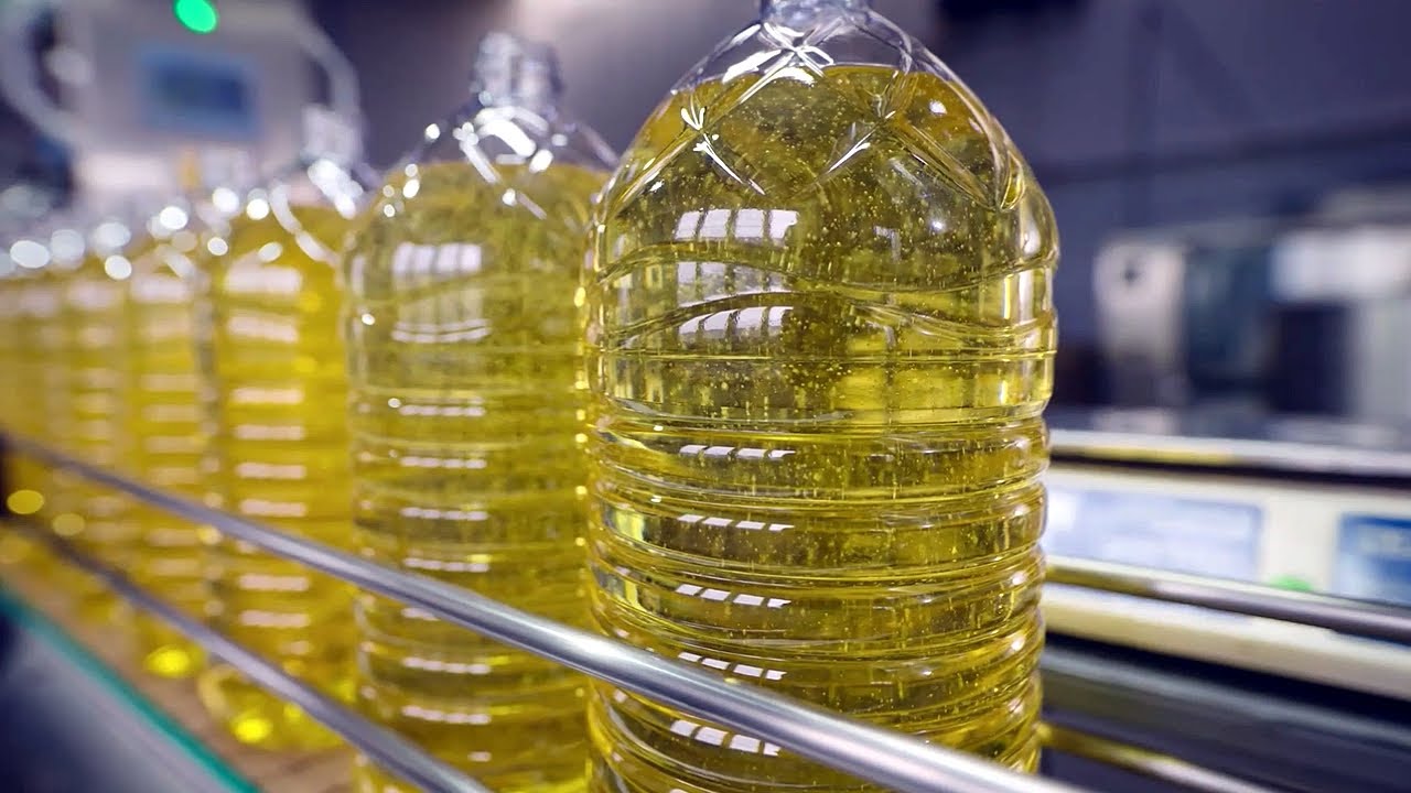 How Sunflower Oil is Made in Factory - From Harvesting Sunflower to Oil