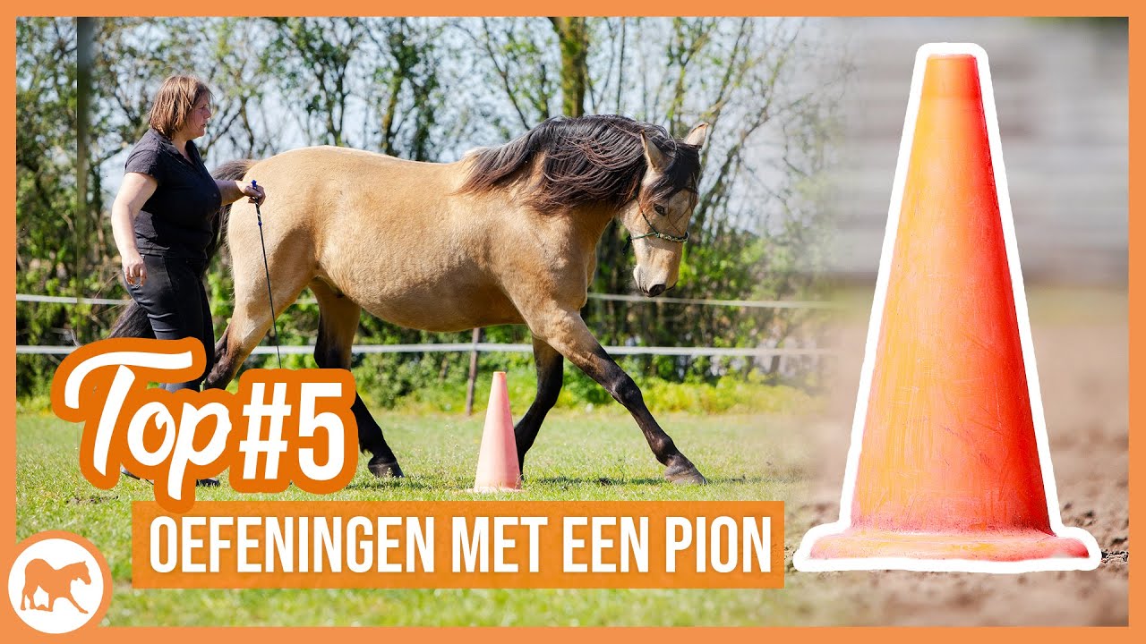 5 Oefeningen voor je paard met een pion