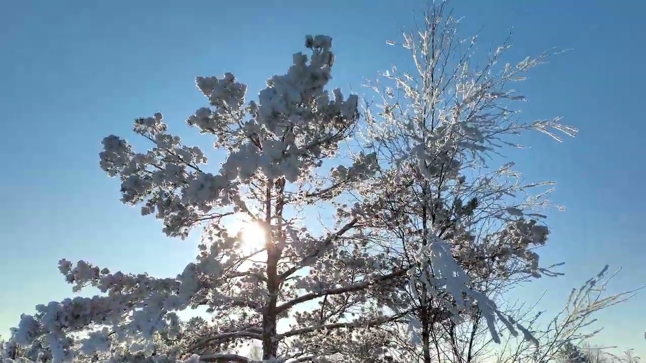 Beautiful Russian Winter 2026 4K video
