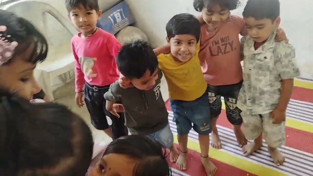 बिल्ली आई भागो और झुंड बनाओ।