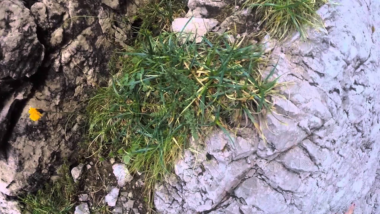 Via Clipper - Cima della Croce