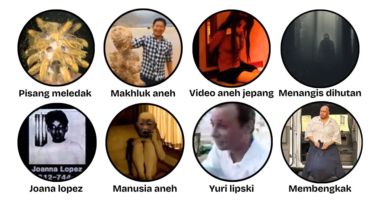 Hal Aneh dan Mengerikan Di Internet Part 5 Dijelaskan Dalam 17 Menit !