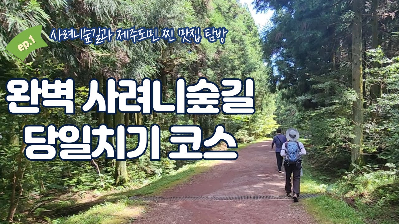 제주몸냥길1코스(무더운 여름사려니숲길에서 힐링해요) #제주여행 #사려니숲길 #해림식당 #휴게농장 #제주겨울여행 #제주가볼만한곳 #제주당일치기 #제주버스투어