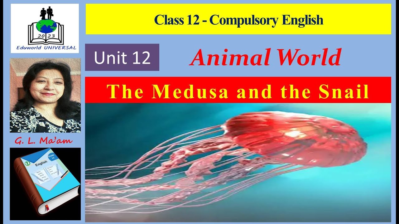 The Medusa and The Snail 🐙🐌