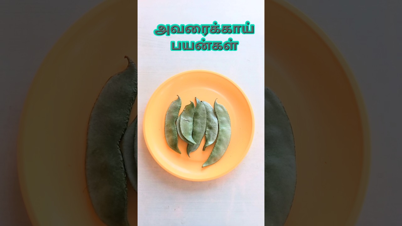 🔥Avarakkai benefits in tamil 😋👌❤️👀 