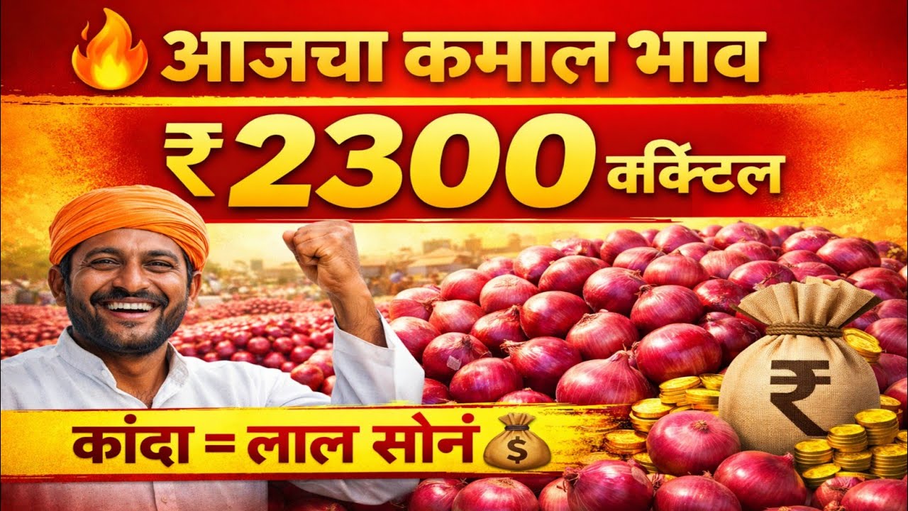 आजचा कंदा लिलाव 🔥 भावात मोठी उसळी | आजचा संपूर्ण लिलाव पहा | Kanda Bajar Bhav Today #shetkariraja 