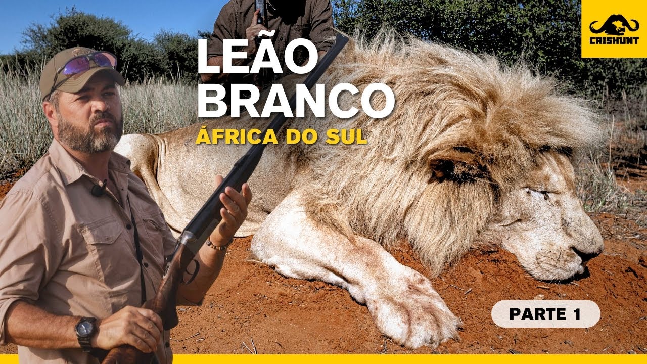 Ca&ccedil;ada de um le&atilde;o branco na &Aacute;frica do Sul - primeira parte