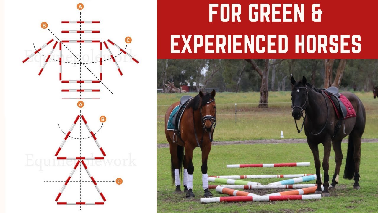 MY TOP 5 POLEWORK EXERCISES