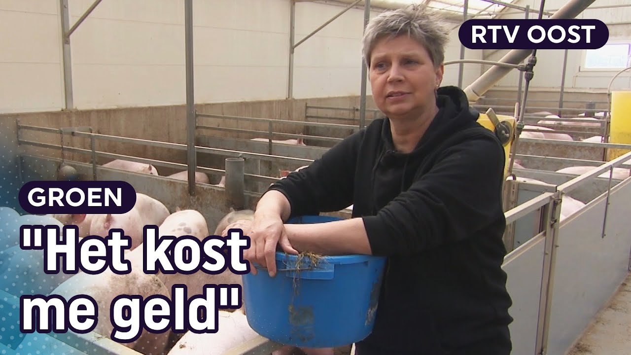 Varkenshouder Annemarie heeft unieke stal | RTV Oost