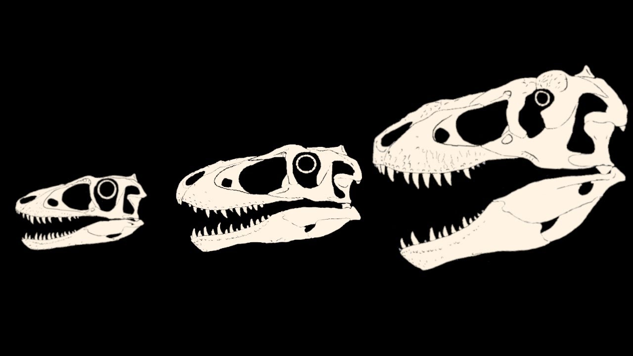 The Mysteries & Puzzles of T.rex Growth