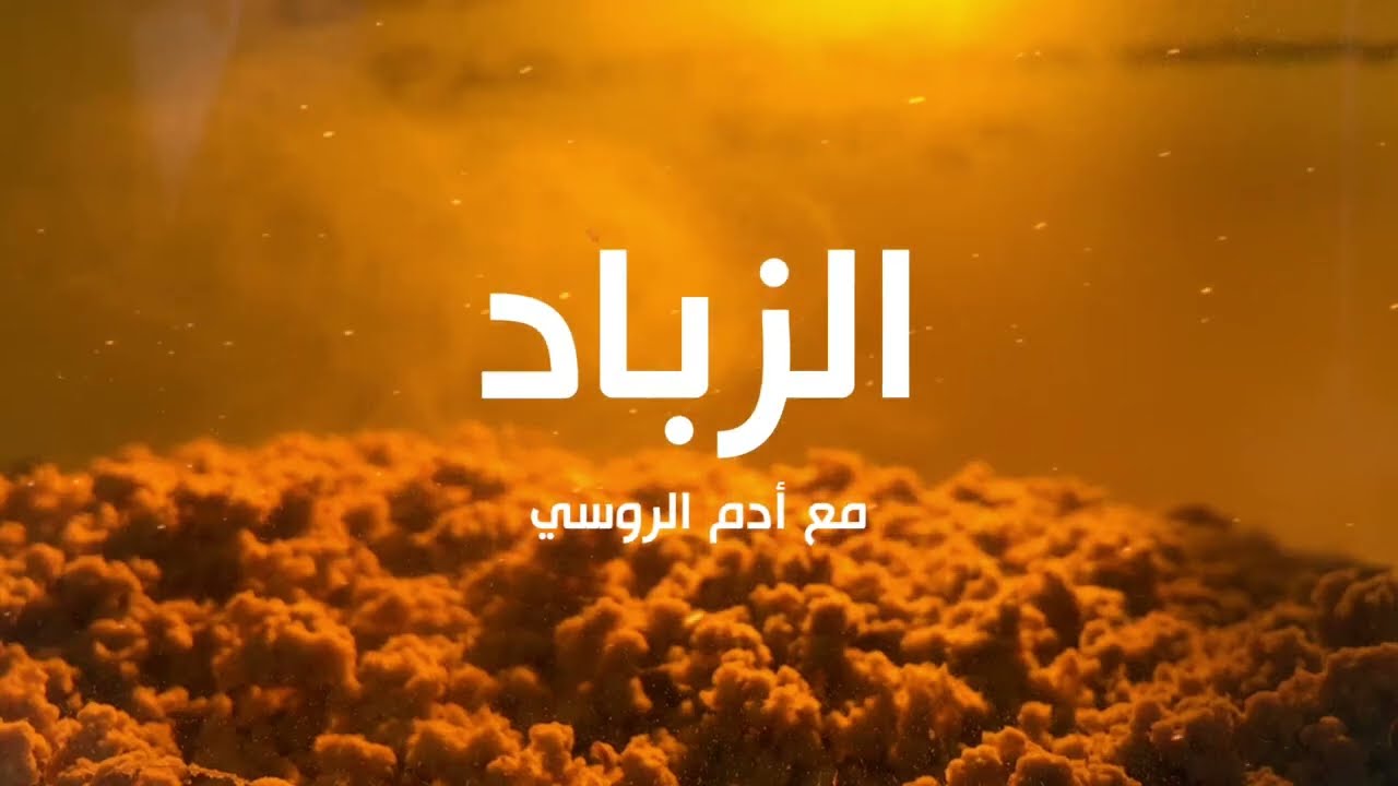 الزباد في صناعة العطور