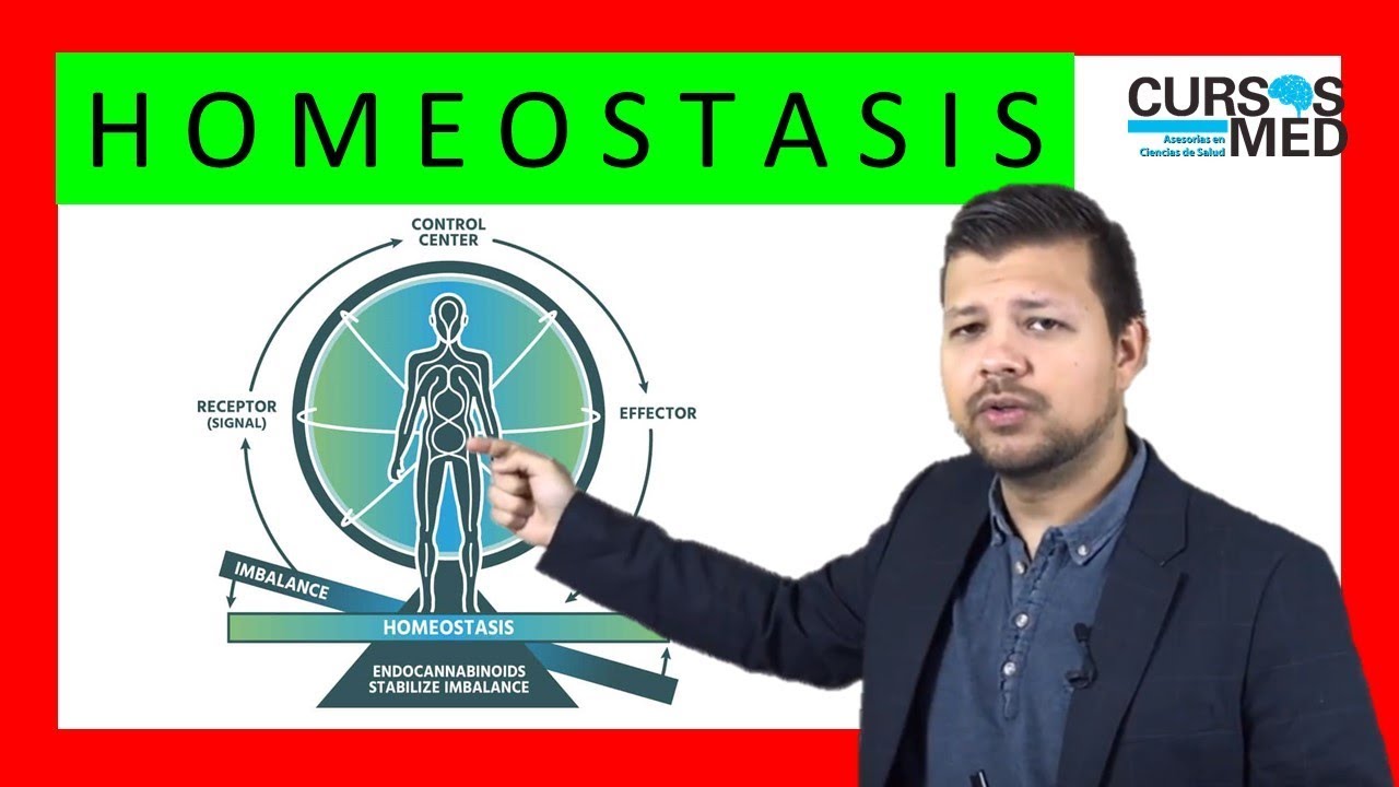 HOMEOSTASIS ✅