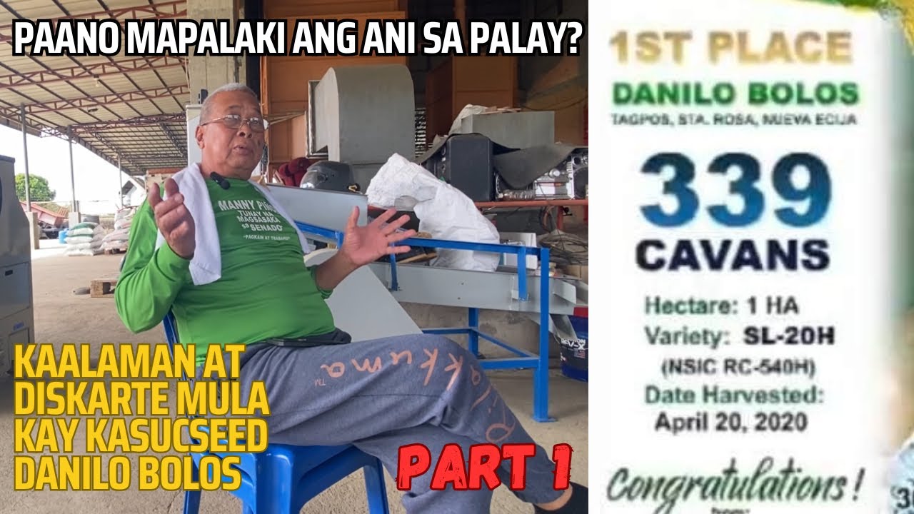 PAANO NAPATAAS NG 339 KABAN IN 1 HEC. ANG ANI SA PALAY NI SIR DANILO BOLOS?