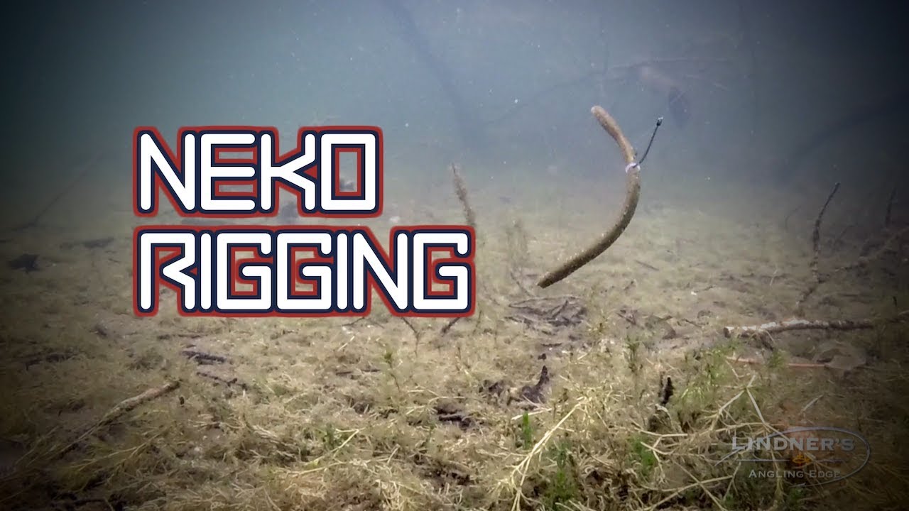 Neko Rigging – Beyond the Basics