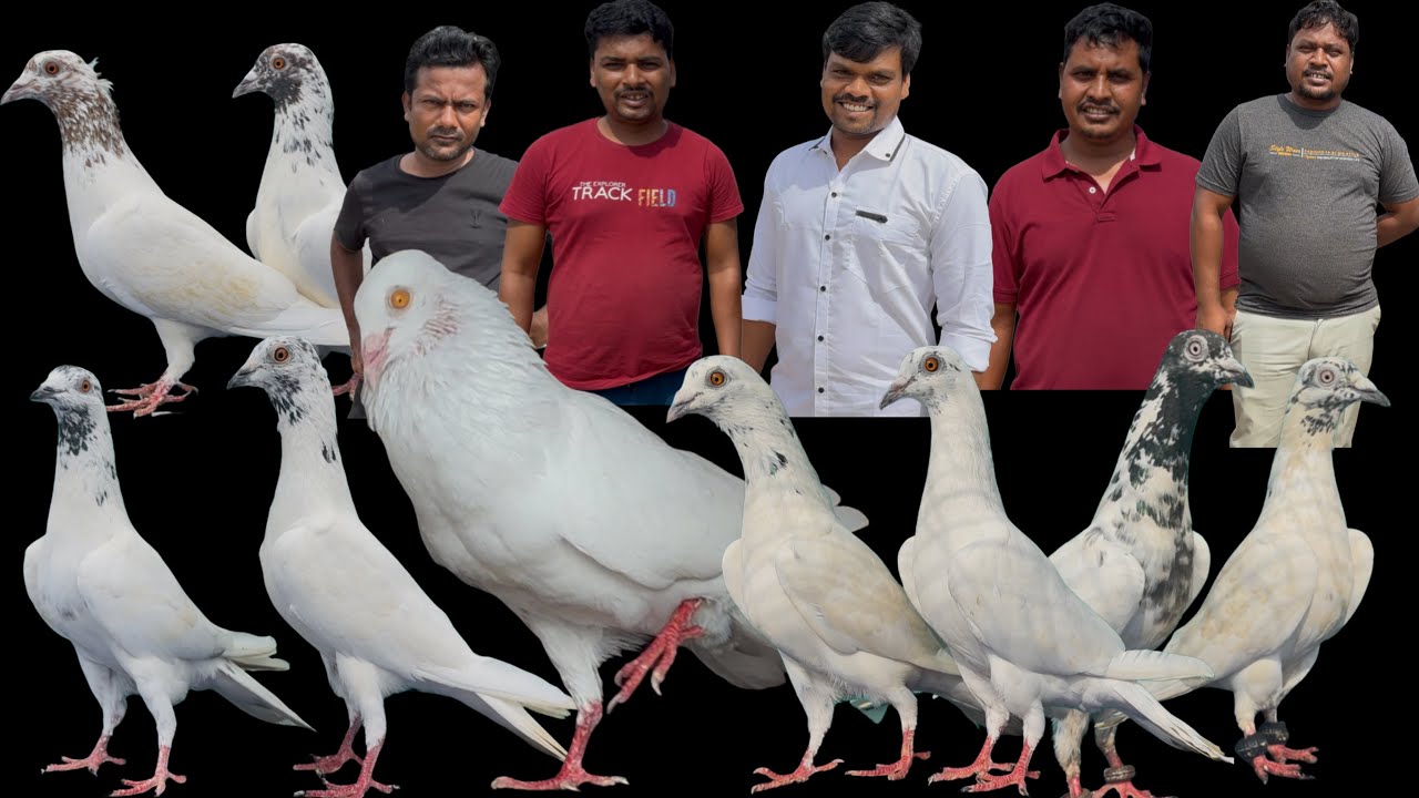 Krishnendu bhai and his friends has visited my loft in Guntur - 9121265678 