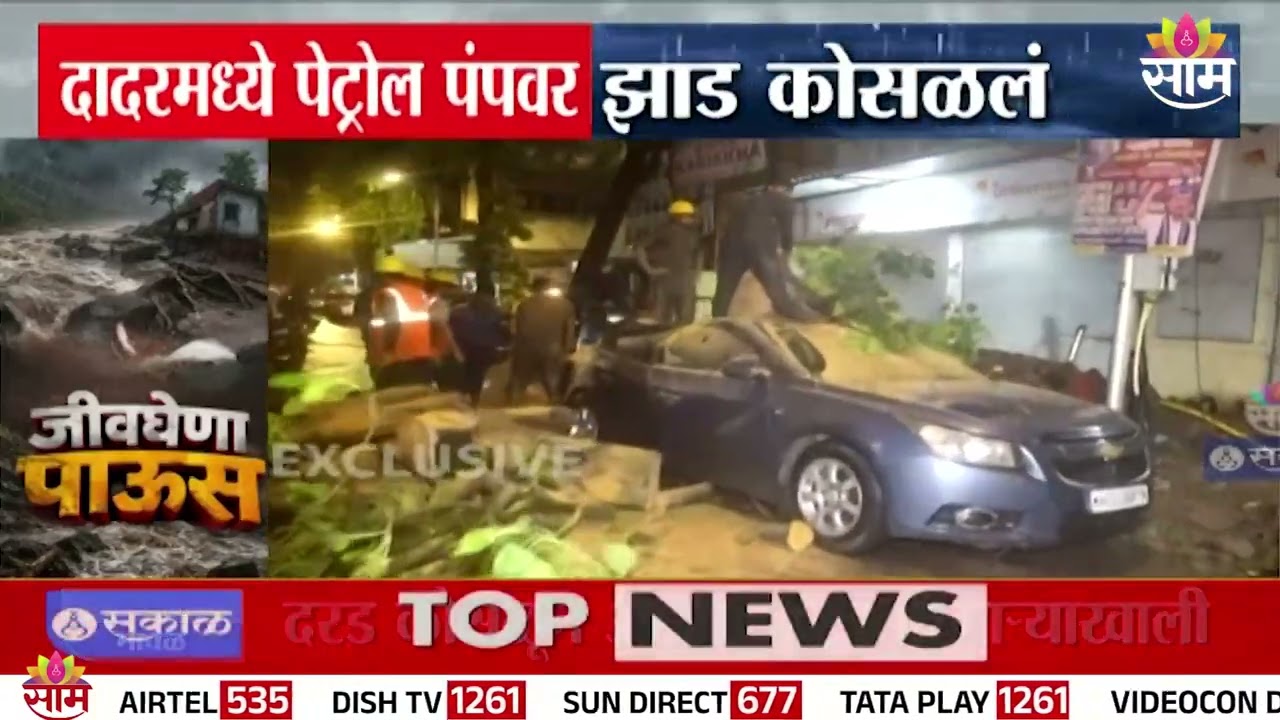 दादरमध्ये पेट्रोल पंपावर भलंमोठं झाड कोसळलं! | Dadar Tree Collapsed | Mumbai Rain News