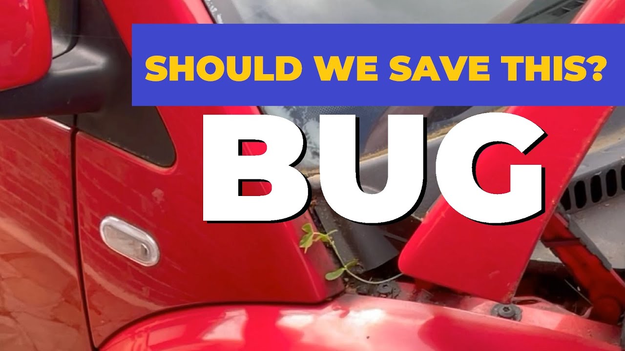 Rescuing a Classic: 2000 Volkswagen Beetle - To Save or Sell? 🚗