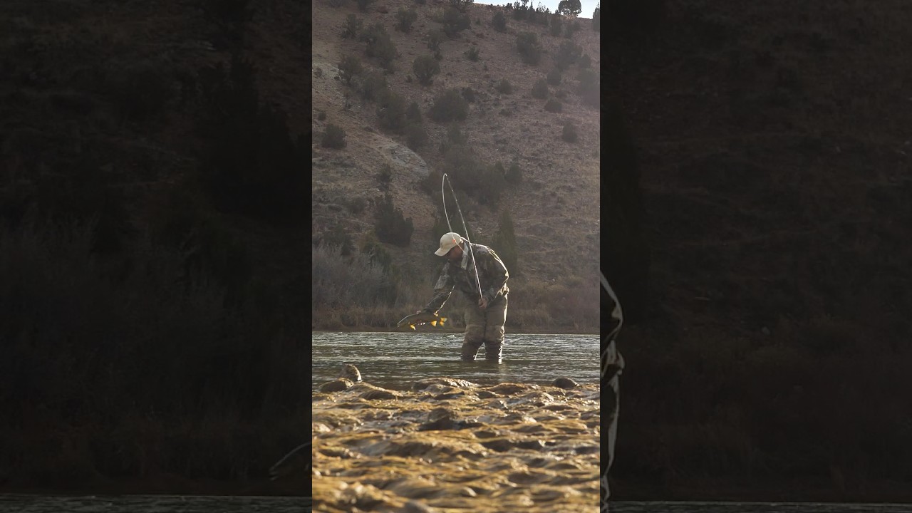 The Best Nymph Rig for New Fly Anglers