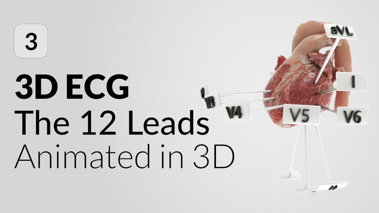 Электрокардиограмма и сосуды в 3D | Мобильное приложение 3D ЭКГ