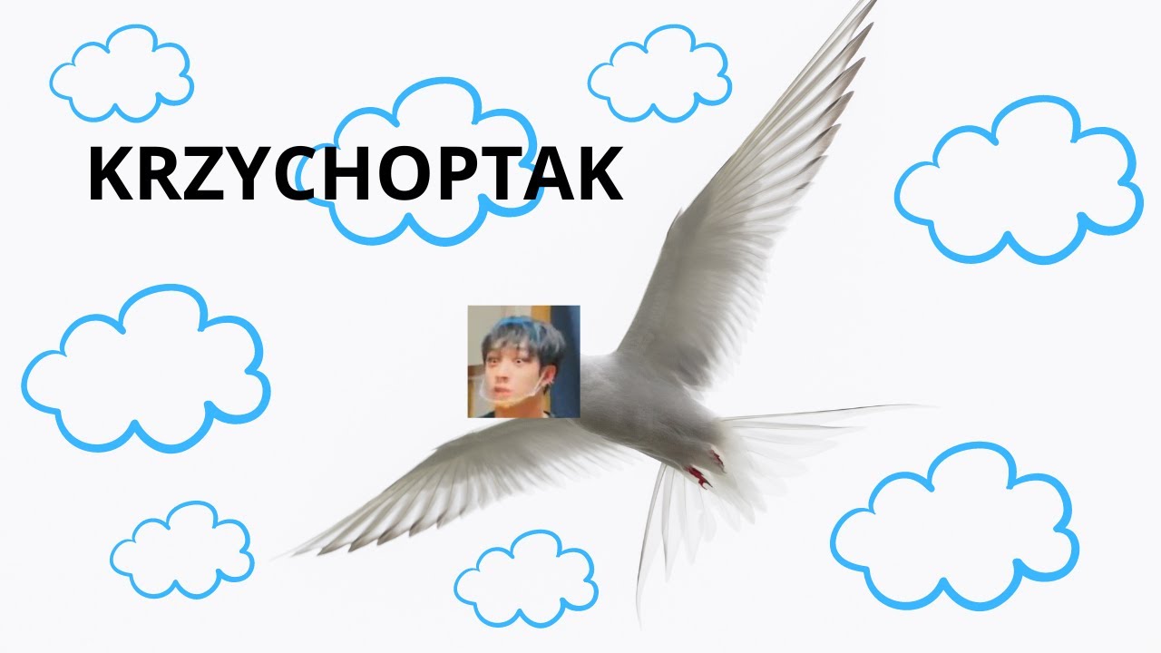 SKZ 'Miroh' Rzeczy, których nie zauważyłes Crack PL ~Nochu