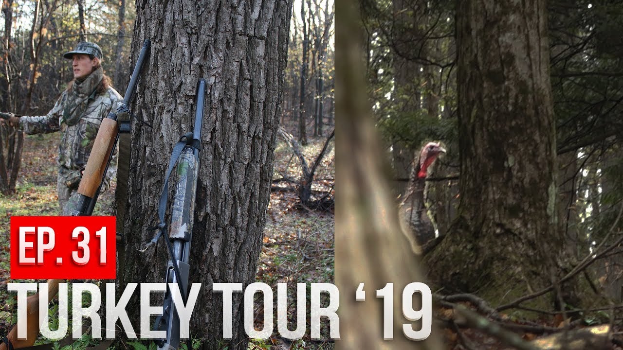 NEW YORK PUBLIC LAND TURKEY HUNTING - First Day Action!