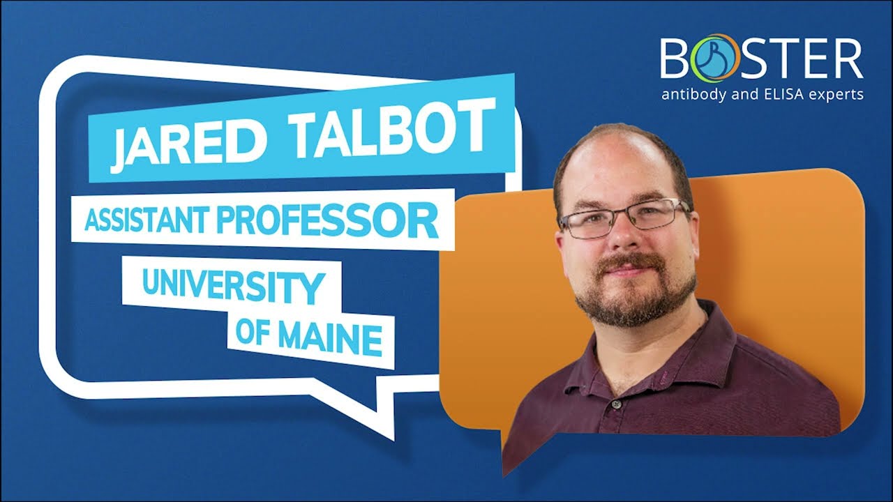 Why I Choose Boster's $600 Custom Antibody – Customer Interview
